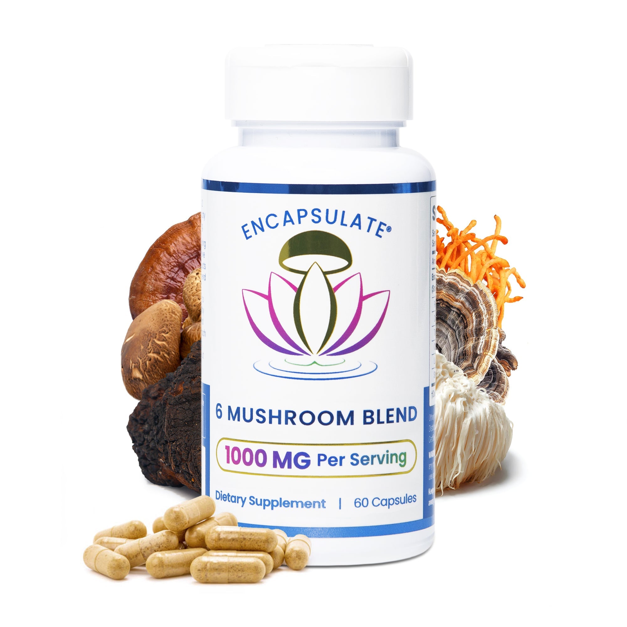 Six capsules of Encapsulate Mushroom Blend 1:1 supplement, showing the product packaging and capsules.