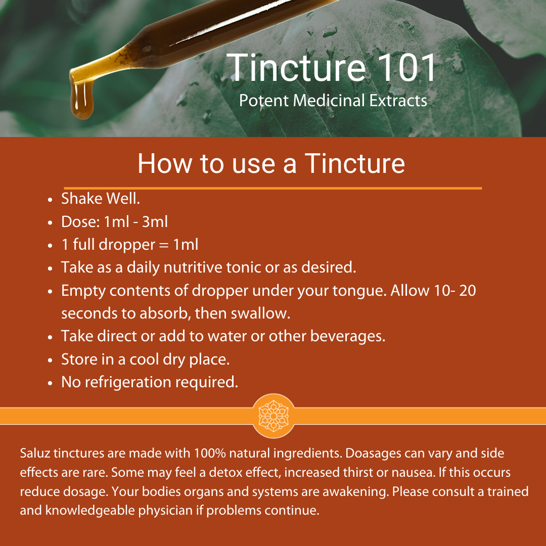 Saluz.io Cordyceps mushroom tincture bottle in a 2 oz dropper bottle, used as an energy-boosting vitamin supplement.
